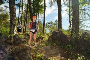 BIB: 429
                            <button type="button" onclick="openModal(18915471)" class="btn btn-primary btn-sm float-right btn-popup" data-toggle="modal" data-target=".modal-high-quality">
                        <i class="fas fa-shopping-cart"></i> Add to Cart
                    </button>
                                            <button type="button" onclick="isThisMe(18915471, true)" class="btn btn-success btn-sm float-right btn-popup btn-isme hidden" data-toggle="tooltip" data-placement="bottom" title="นี่คือรูปของคุณใช่ไหม คลิกที่นี่เพื่อเอาเข้าอัลบั้ม">
                        <i class="fas fa-plus"></i> Add to album
                    </button>
                    <button type="button" onclick="isThisMe(18915471, false)" class="btn btn-warning btn-sm float-right btn-popup btn-isnotme hidden">
                        <i class="fas fa-ban"></i> Remove from album
                    </button>